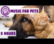 PetTunes - Music for Pets