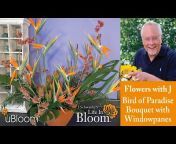 J Schwanke&#39;s Life in Bloom
