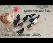 Mallai Pets and Fish