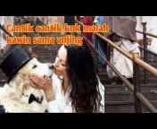 Download Video Sex Anjing Dengan Manusia - video anjing dan manusia sex hot Videos - MyPornVid.fun