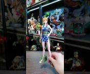 Anime GK Figure Collector