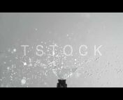 Tosakan Films Stock Shot u0026 Footage