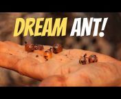 The Ant Keeper