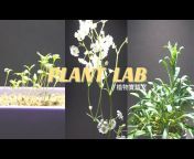 Plant Lab - 植物實驗室