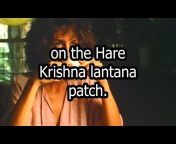 Hare Krishna in the Movies