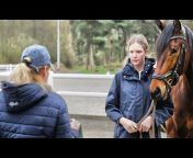 Pferdephysiotherapie Hof Eicheneck
