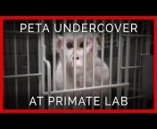 PETA (People for the Ethical Treatment of Animals)