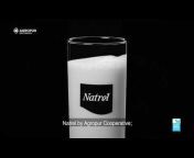 Natrel Milk