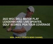 WSN - World Sports News Channel