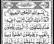Quran 365