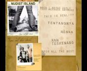 Nudist Island