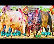 Fighting Bull Of Sylhet