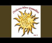 Orchestra Mirco Gramellini - Topic