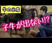 田中畜産の和牛チャンネル