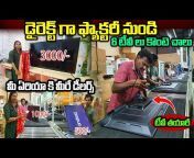 Money Factory Telugu - Business Ideas