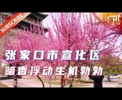 Hebei Moment 河北:精彩时刻的记录者