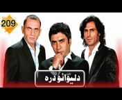TV Shahin