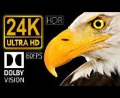 8K HDR WORLD