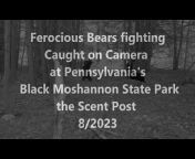 Bob&#39;s Pennsylvania Wildlife Camera