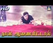 MGR Tamil Movies - 4K