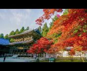Fantastic Places in Cool Japan