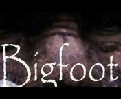 Sylvanic Bigfoot