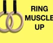 Strict Ring Muscle Up Progression &amp; Technique (Step-by-Step Tutorial)nn➡️ Gymnastics rings http://ShreddedDad.com/ringsn➡️ Palm protector http://ShreddedDad.com/palmnnSo you want to learn the strict ring muscle up huh?nnWell it’s actually not that hard of an exercise to learn.nnIt just requires the right technique and learning how your body is moving in space.nnYes, of course…nnYour still need to be able to do ring pull ups and ring dips because you still require the strength to