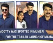 Mamangam starring Mammootty is one of the awaited films of the year. Mammootty was in Mumbai to release the Hindi trailer of his upcoming film. The actor was seen wearing a blue shirt and jeans. The actor said that he wanted this film to reach the non- Malayali audience; so he decided to translate it into Hindi also.