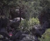 Again in Fontainebleau, again new bouldering video.. Some parkour and dogs!nnMusic: nPepe Deluxé ‎- Indifférence (http://www.pepedeluxe.com)nnThe XX - Fiction, Synapson remix (https://soundcloud.com/synapson)nnYppah - Never Mess With Sunday, TKAQK Edit (https://soundcloud.com/tkaquake)