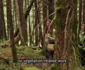 U.S. Forest Service Biologist Kate Mohatt loves mushrooms! Alaska Teen Media Senior Producer Max Dan spent the day with her in Girdwood looking for fungi.nnMusic by Podington Bear (Artist Provided Permission)