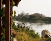 Reportage sur L&#39;île du Lamentin Eco lodge de Brousse :nSur l&#39;un des fleuves les plus majestueux d&#39;Afrique, dans le Parc National du W, classé au Patrimoine Mondial de l&#39;Unesco et sanctuaire de la vie sauvage.nnL&#39;écolodge de brousse de l&#39;Ile du Lamantin (Niamey Niger, Afrique de l&#39;Ouest) c&#39;est:nDix cases (capacité de 2 personnes - plus 1 couchage d&#39;appoint possibles, avec toilettes sèches),ns&#39;intégrant parfaitement au paysage dans un scrupuleux respect du site, nvous offrent détente et obs