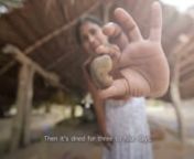 Prepared initials for VisionFund&#39;s MicroFlicks campaign. This gentle and powerful film gives insight into the life of Gheetha, a woman whose cashew business has helped support her family, as well as other women in her community.