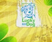 Check out this week&#39;s Lucky Pup!nFor more information or to find out how to adopt email info@luckydoganimalrescue.orgnCheck out these weekend events:nnCanine Spring Cleaning Charity Dog WashnSat, Apr 6, 2013, 9:00 AM - 12:00 PMnFur-get Me Not - 1722 Florida Ave NW, Washington, DCnnAdoption Event - Gaithersburg/Montgomery Village, MDnSat, Apr 6, 2013, 12:00 PM - 2:00 PMn18306 Contour Rd Montgomery Village, MD 20877nnAdoption Event - Falls Church, VAnSun, Apr 7, 2013, 12:00 PM - 2:00 PMnPetSmart -