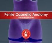 A plastic surgeon reviews the anatomy of the penis as it relates to aesthetic procedures and transgender surgery. Fernando Urrutia, MD &#124; Mexico