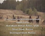 Russian documentary from 2009 about the Akhal-Teke horse. Translated to English.