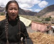 Faire découvrir comment vivent les enfants au Ladakh, dans l’Himalaya indien, c’est le propos de ce documentaire qui filme le quotidien d’une adolescente de 12 ans, Padma. Dans un village perché à 4300 mètres d’altitude, la jeune fille partage son temps entre l’école, la maison et la vie au village. Partout dans le monde, les enseignements que l’on tire de sa famille, de la communauté et des traditions sont irremplaçables.nnRéalisateurs : Christiane Mordelet et Stanzing Dorja