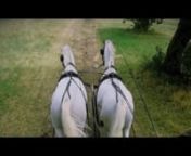 We took a 30 minute carriage ride on a family trip today at Lipica stables, the home of the famous Lipizzaner horse. I managed to get some footage while I wasn&#39;t watching out for/holding/restraining our youngest 2 and 1/2 yo daredevil/stuntkid son. The Lipizzaners pulling the carriage are both still young and in training so we had a driver as well as the trainer along for the ride and the five of us were in the back. It was a wild ride with both horses wanting to go somwhere else interchangeably