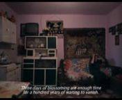 1.&#39;On the Other Side of the Pillow a Rose was Blossoming&#39; / short film / 26&#39;&#39;/ KHM 2018.nnIn a remote village, Marija waits for her husband to return. She fears being infertile and losing him. Three magic-knowledgeable old women introduce her to a specific ritual and Marija falls into a death-like sleep. nn2. &#39;VREME&#39; / Documentary Feature / 52&#39;&#39; / KHM 2016.nn&#39;A boy in love awaits his beloved freshly shaved, an old woman awaits the fulfillment of a prophecy at the laid table. The voice from the r