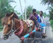 Ural Pakhi (Title Track) Niloy Alamgir Biddut Bijli Muhin Khan Bangla New Song 2017(720p) from pakhi new