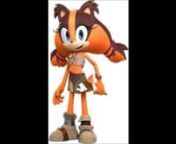 Sonic Boom Rise Of Lyric - Sticks The Badger Voice from sonic sticks the badger