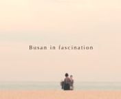 Busan in fascination from panster