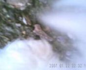 SNOWBO was wearing the video camera, and the camera kept facing to the floor. When you see the fast motion, that means SNOWBO was running, vice versa. And if the motion stop, that means SNOWBO was either peeing or pooping.
