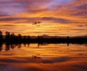 - http://MovingPostcard.com - When you witness a perfect Colorado sunset reflecting on a lake with the Rocky Mountains separating sky from land and water... it makes your heart leap.nnA few weeks ago, I caught such a colorful and rather dramatic sunset on camera at Coot Pond while filming at St. Vrain State Park. Traditionally with this video series, I&#39;ve waited until the last week of being in a place to publish a sunset time-lapse video from the location. And I&#39;ve been holding on to this one...