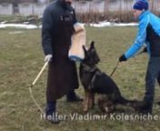 Dog Training Centre Aus Sursko-Litovsk +380676182050 Dnipro, Ukraine