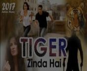 Latest salman khan movie directed by Ali Abbas Zafar. Tiger Zinda Hai is the sequel to the 2012 movie Ek Tha Tiger. Bollywood Movies Reviews and Updates . Please like and support!