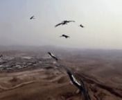 Video 06:50, 2016nCamera: Amir Aloni, Heba Amin, Amir Balaban, Yuval Dax, OrangeHDnAudio: The Birds of Darkness - ‫طيور الظلام ‬nnIn late 2013, Egyptian authorities detained a migratory stork suspected of espionage due to an electronic device attached to its leg. “As Birds Flying” addresses conspiracies embedded in the political landscape that shape the present. It confronts the absurdity of the media narrative that has blurred fantasy with realty and turned a bird, that migrat