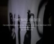 THE BIRD LADIESn- An interactive shadow installation placed in a dehumanised dystopian environment.n- A surrealistic, experimental shadow performance in response to the theme, climate change.nnConcept by: nHenriette Blakstad, Anne Mali Sæther &amp; Guri Guri Henriksen (NO)nnIn collaboration with: nsilo portem (UK) and Catharine DeLong (US)nnProduced by: nHenBlakstad Productions (NO)nnCo-production by:nAnimalske Productions (NO)nnCurated by:nSixtyEight Art Institute/Heid Hart Ph.D. (DK/US)nnPart