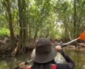 kayaking_the_unexpected.MP4 from unexpected