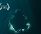 WINNER ///VISIONI ITALIANE (VISIONI ACQUATICHE) 2017nOFFICIAL SELLECTION /// PALM SPRINGS SHORT FILM FESTIVAL FILMS MARKET 2017nnA man and a woman meet at night in the swimming pool of a hotel. They’re both unable to sleep. It’s a surreal space they move within. An open space for possibilities.nnThe Future /// Short FilmnnWriter/Director: Enrico PolinCinematography: Oliver FordnProducer: Angelica RiccardinOther Producers: Enrico Poli, Samuel PeraltanEditor: Sian ClarkenRemote Assistant on E