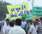 Endosulfan workers and local leaders protest against the fraudulent NIOH Study. A huge rally was taken at Bhavnagar, Gujarat in support of Endosulfan. Bhavnagar Member of Parliament Mr. Rajendra Singh Rana, shares his views on the ongoing calls to ban Endosulfan and calls for immediate withdrawal of the NOIH report on Endosulfan.Also, Member of Legislative Assembly, Mrs. Vibhavari Dave speaks about the impact on workers.The Local MLA and MP were a part of the delegation which submitted a mem